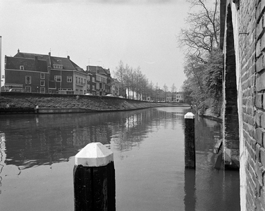 855019 Gezicht over de Stadsbuitengracht te Utrecht, van bij de Tolsteegbrug te Utrecht. Op de achtergrond panden aan ...